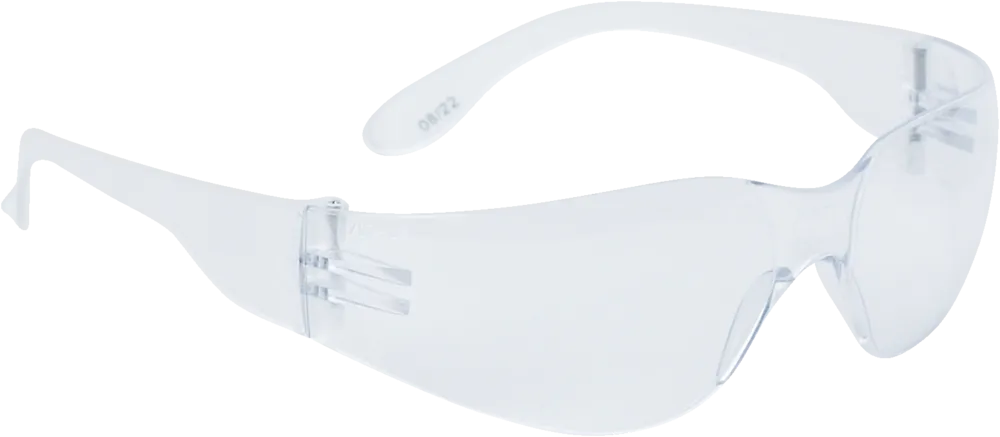 Brava2 Safety Glasses by Delta Plus - Style BR2