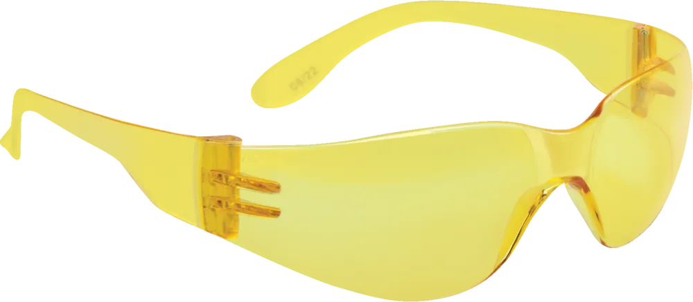 Brava2 Safety Glasses by Delta Plus - Style BR2