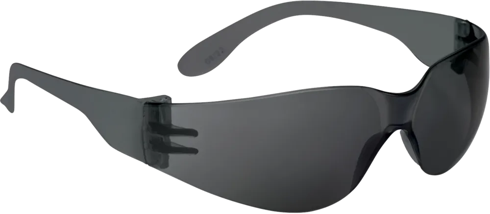 Brava2 Safety Glasses by Delta Plus - Style BR2