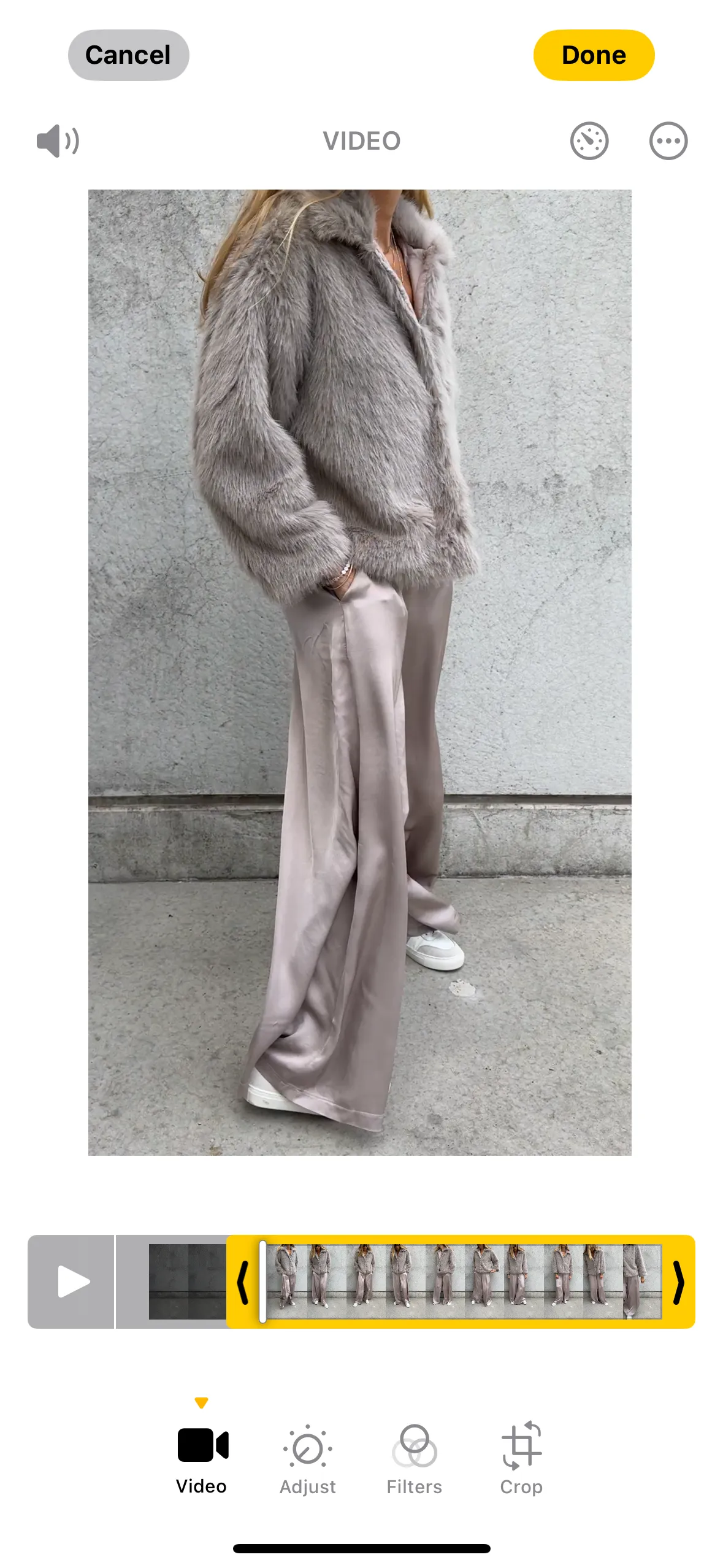 Champagne Silver Radana palazzo pants *NEW*