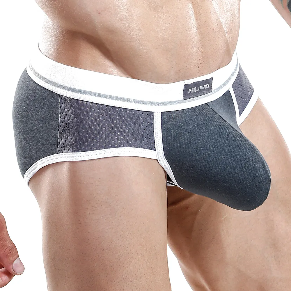 Hung HGJ004 Brief