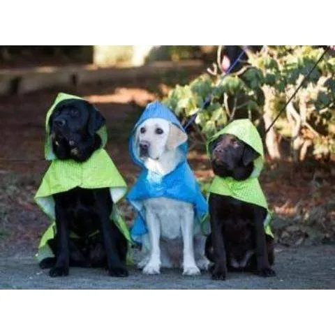 Packable Dog Rain Poncho